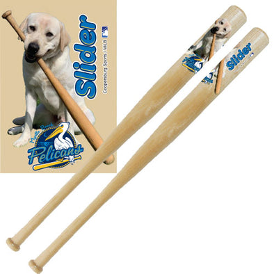 Myrtle Beach Pelicans Coopersburg Sports 18 Inch Natural Slider the Bat Dog Mini Bat