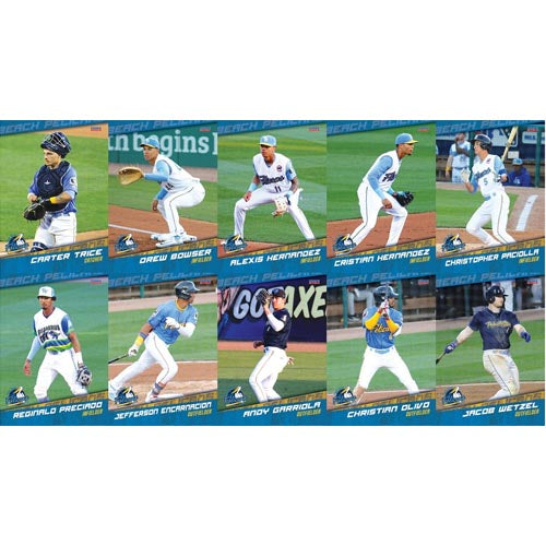 Myrtle Beach Pelicans 2024 Team Set