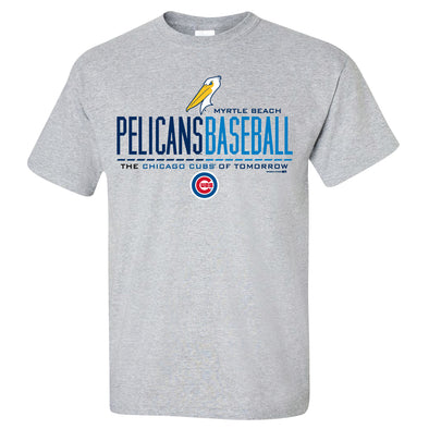 Fanatics Men's MLB Chicago Cubs Primary Logo Short Sleeve Crew Neck T-Shirt  (M) Gray