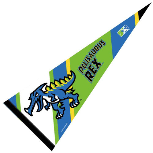 MYRTLE BEACH PELICANS WINCRAFT PELISAURUS REX FELT PENNANT – Myrtle ...