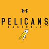 Myrtle Beach Pelicans Under Armour Gold Tech Tee