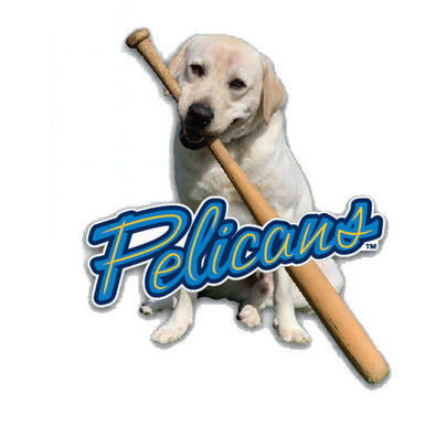 Myrtle Beach Pelicans Pro Specialties Group Slider the Bat Dog Rubber Magnet